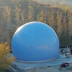 思嘉产品和服务
覆盖全球上百个国家和地区