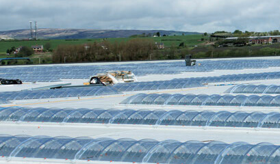 思嘉产品和服务
覆盖全球上百个国家和地区