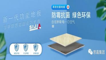 思嘉，为绿色未来而创新