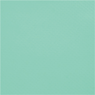 S4843
淡绿